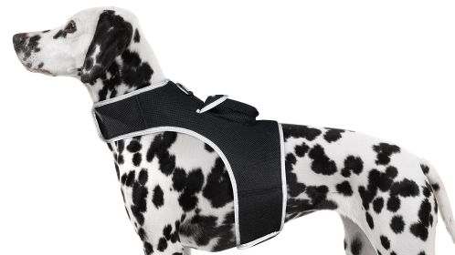 Rechargeable Dog Collar Tracker Water Resilient Location Finder Tracking System Size:S